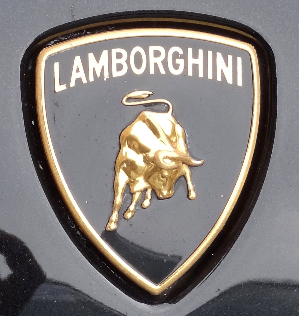 Euro Shiba Inu tweet media