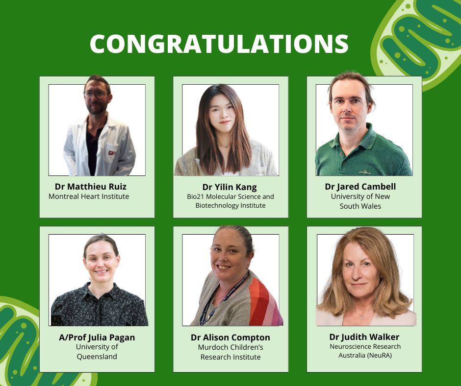 Mito Foundation tweet media