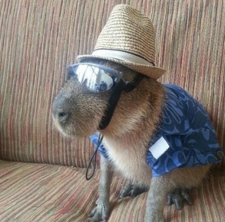 Liquid Kicks tweet media