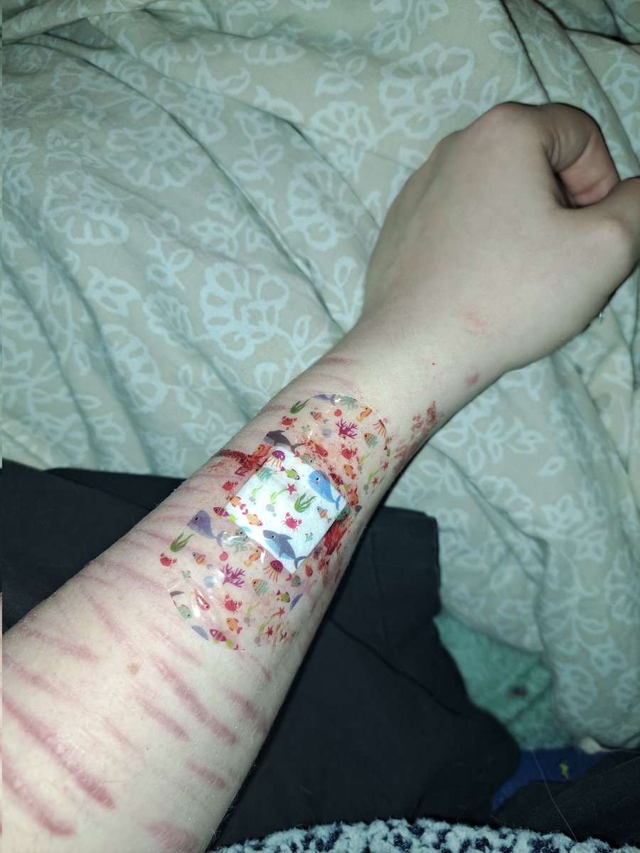 couldbeaghost03's tweet photo. fuck yeah. ignore my fatass shaky camera skills😽
#shtwt https://t.co/ZbkKVGExhP