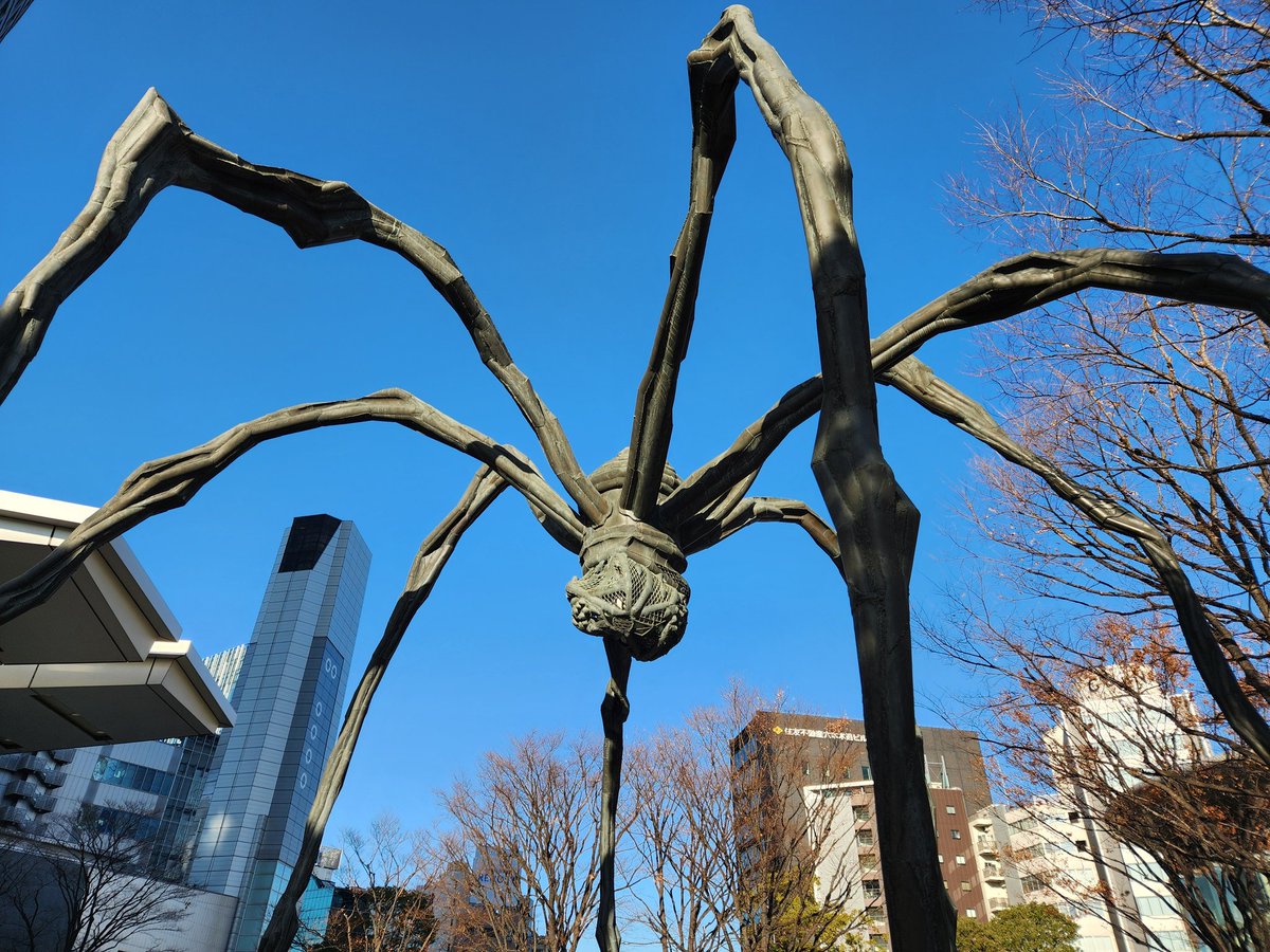 Post by SKS rep on X: 久しぶりのクモ