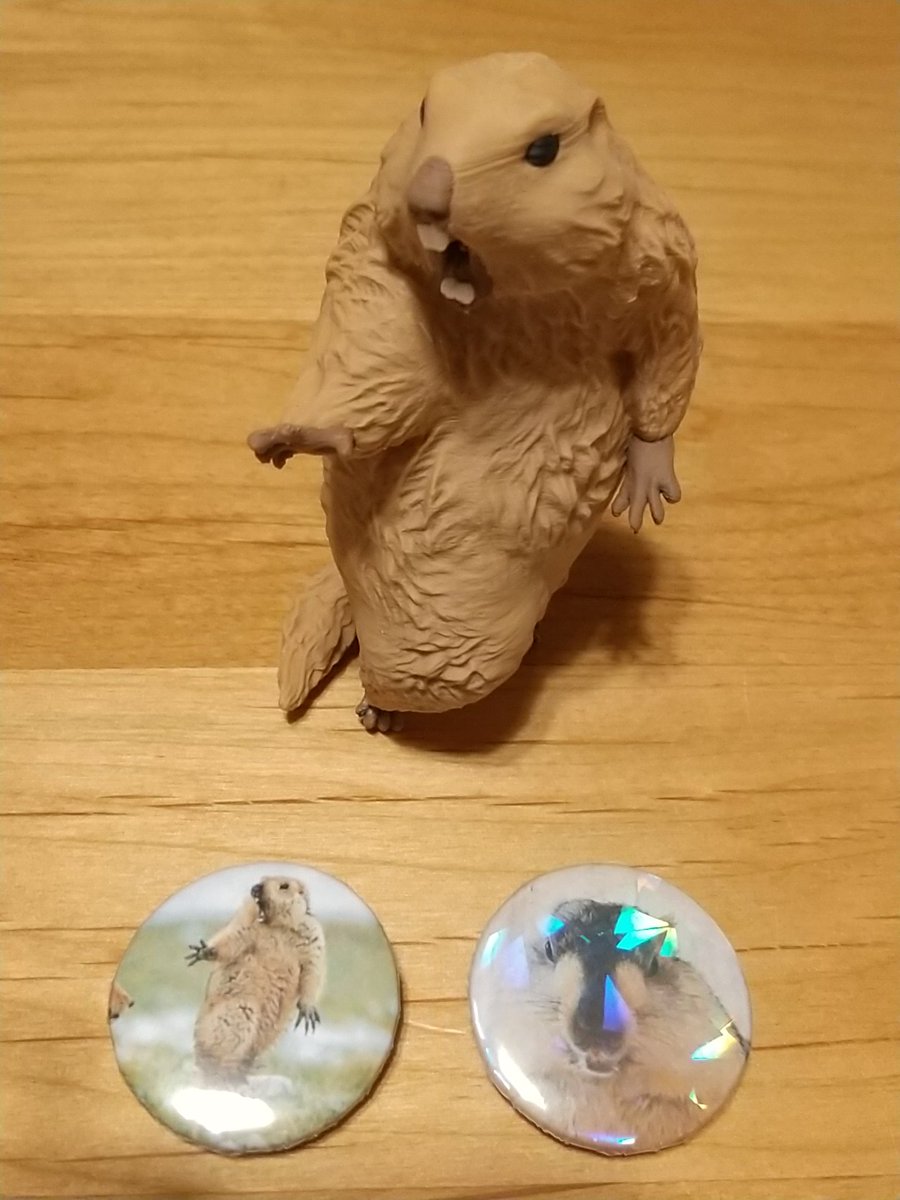 【正規品】Insomnia3D 闘うマーモット1st Color【完成品】 正規品】Insomnia3D 闘うマーモット1st Color【完成品】