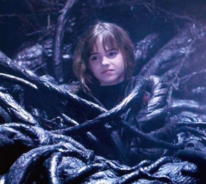 Eu chegando em dezembro de 2025: