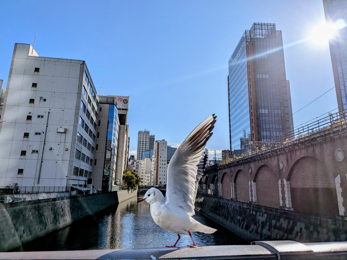 yadapo's tweet image. 東京出張、地下通路を歩きたくない病になってずっと徒歩かバスで移動していた。