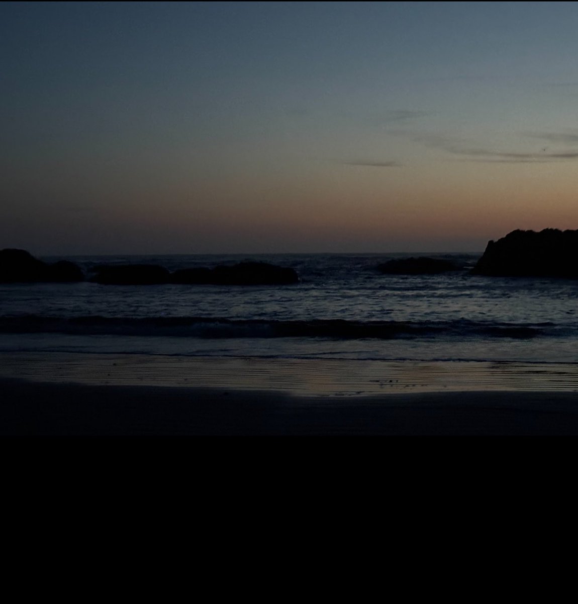 snflower500's tweet image. 