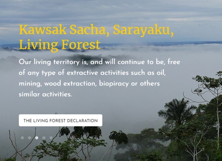 The Forest &amp; River are ALIVE. Water, Trees, Humans &amp; Creatures form a Living Thinking Being.
One Living Being With Its Own Consciousness.
Robert Macfarlane
