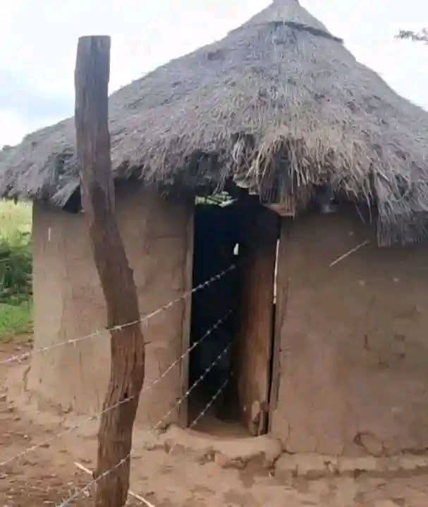 georgediano's tweet photo. Land dispute between two walala hoii is pure comedy. Awuoro!!🤣🤣🤣🤣🤣 https://t.co/CVAEj5JLs6
