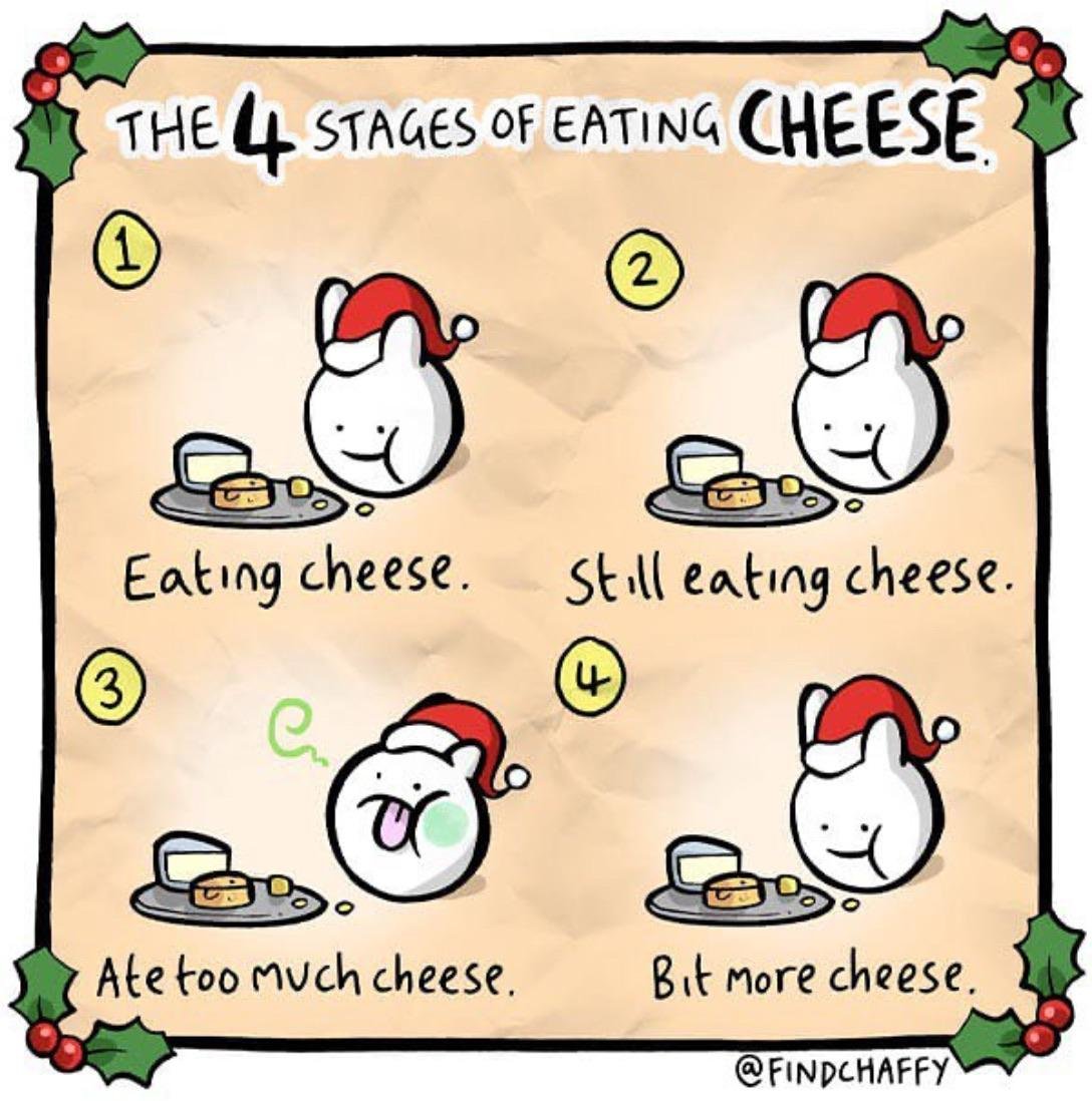No one looks back on life and wishes they had eaten less cheese😏