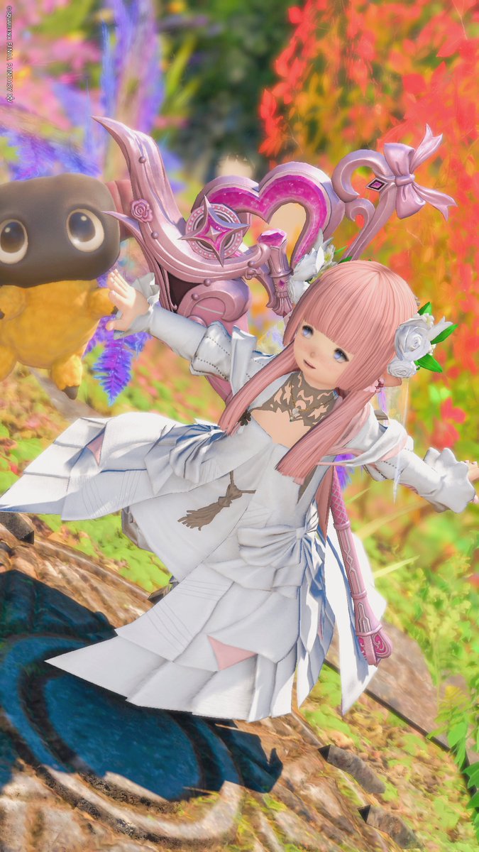 獣もっふもふ (@Kemonomoffumofu) / Posts / X