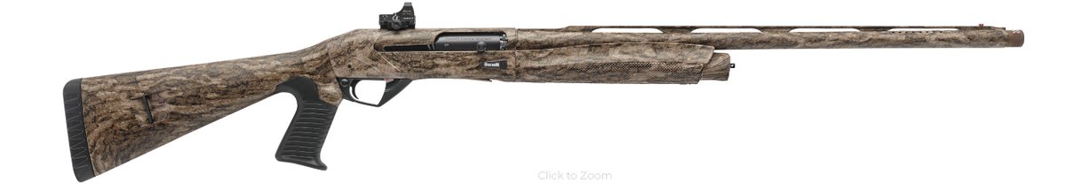 May I suggest the Benelli Super Black Eagle 3