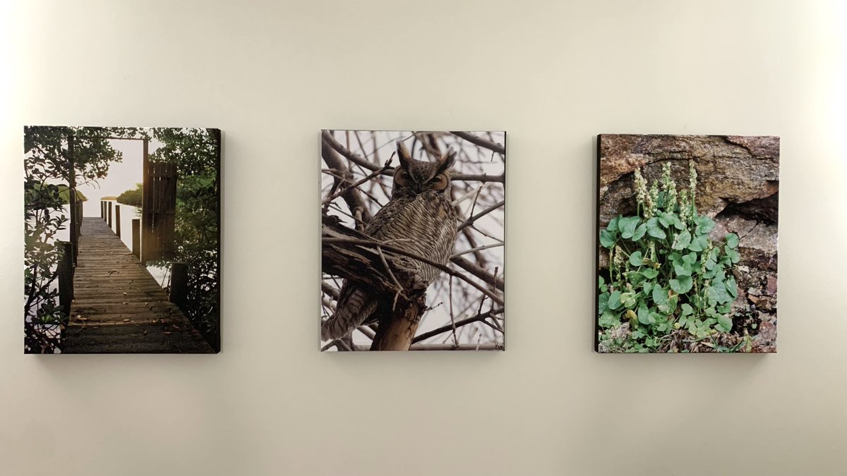 LUHFoundation's tweet photo. New permanent artwork in the surgery waiting room! Made possible by LUH Foundation funding alongside employee giving! Welcome Tanya Pawelski’s photography prints! Tanya has been an employee here LUH for almost 33 years! We're so happy to add more beautiful artwork to these walls! https://t.co/hT8VpqLijk