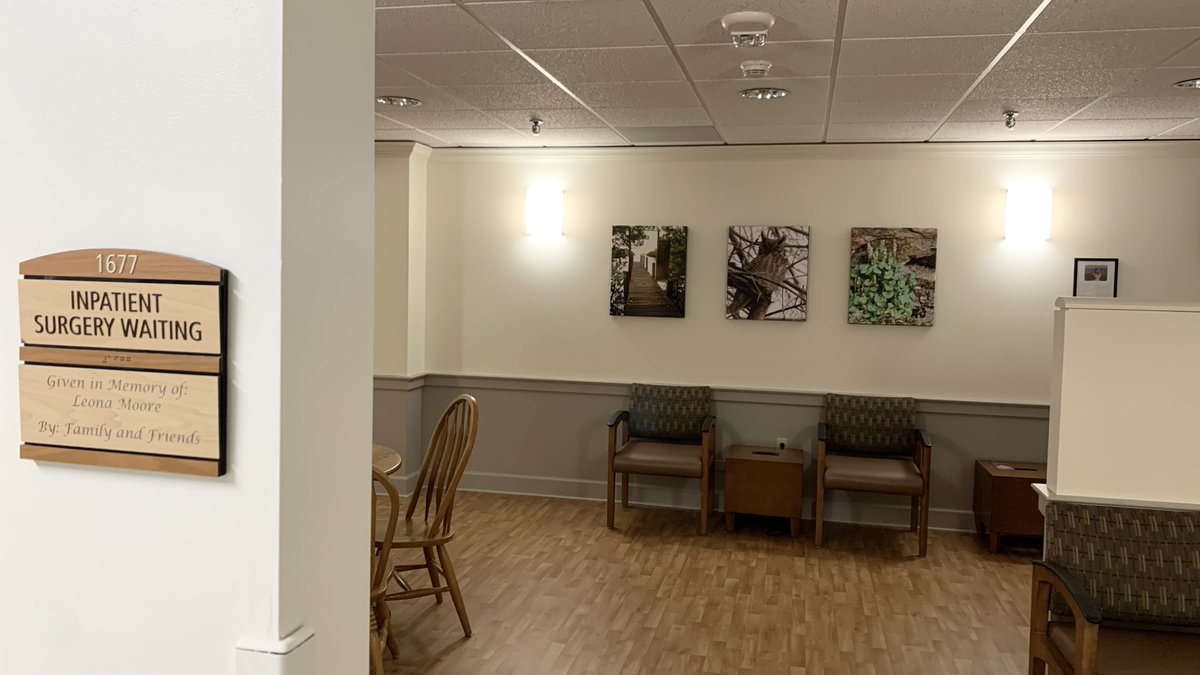 New permanent artwork in the surgery waiting room! Made possible by LUH Foundation funding alongside employee giving! Welcome Tanya Pawelski’s photography prints! Tanya has been an employee here LUH for almost 33 years! We're so happy to add more beautiful artwork to these walls!