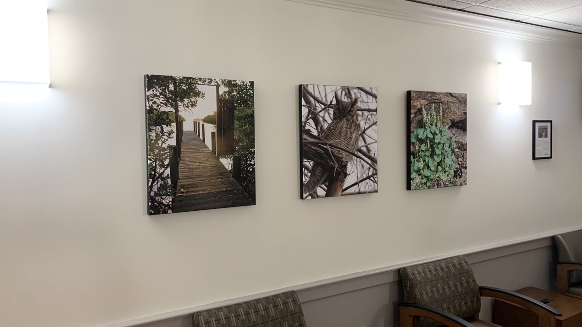 LUHFoundation's tweet photo. New permanent artwork in the surgery waiting room! Made possible by LUH Foundation funding alongside employee giving! Welcome Tanya Pawelski’s photography prints! Tanya has been an employee here LUH for almost 33 years! We're so happy to add more beautiful artwork to these walls! https://t.co/hT8VpqLijk