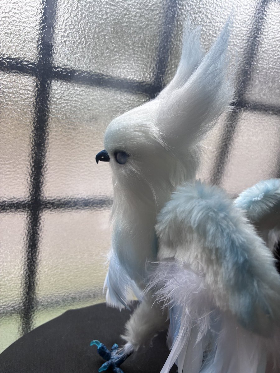 まんまるんアートドール牧場🐄🦓🎀 (@WLMmanmarun) / Posts / X