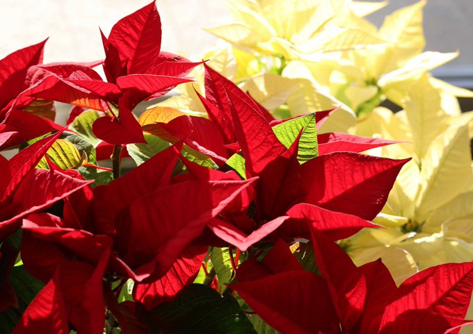 �\�[�V�����}�K�W���w�R�X���f�B�A�h�b�g�R��!!�x:�ŐV���𐏎��X�V��!!