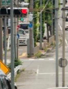 TheNicePig tweet media