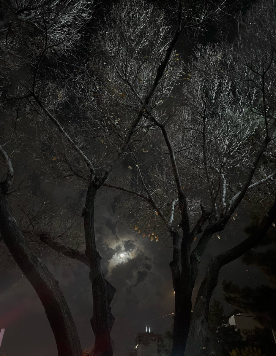 "نحن و القمر جيران"🤍