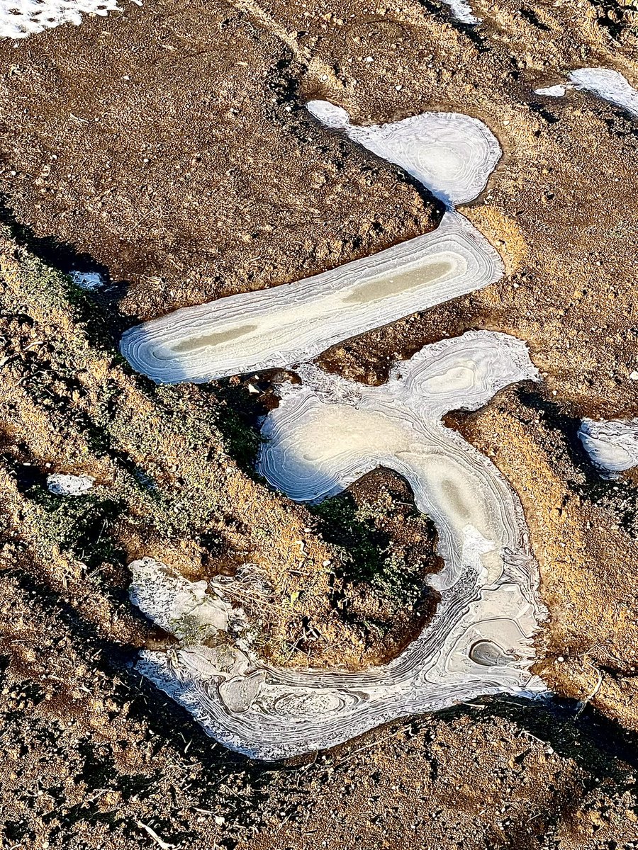 KASACO2010's tweet image. おはようございます。

良い天気！

地面の雪も
ほぼ溶けました！

そして大地の謎文字
『デ』は凍ってらよ！

今日も奇跡の一日を！