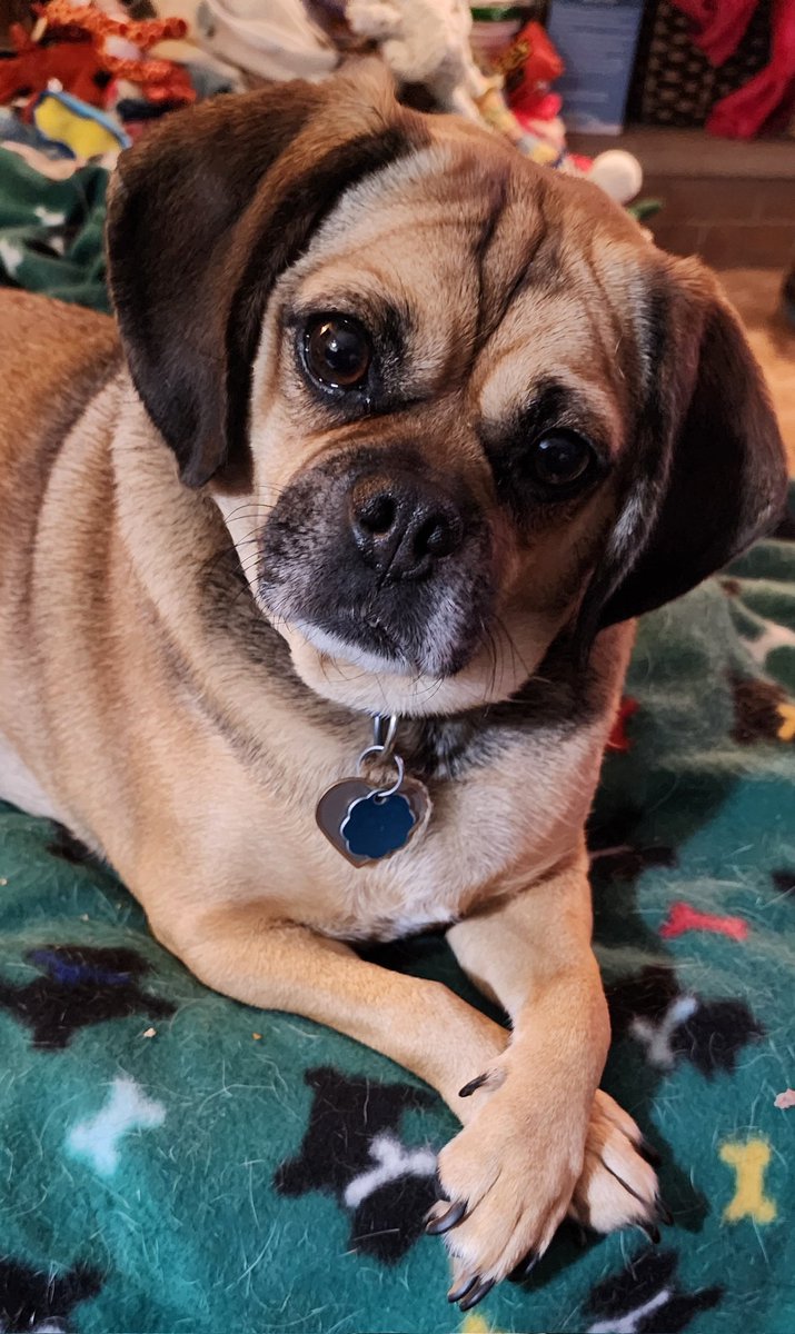 KJ Bailey tweet media