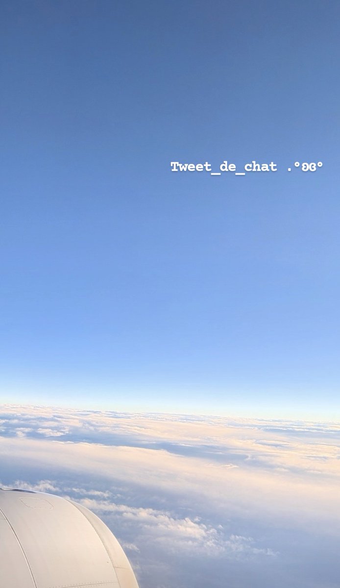 【雲の上はいつも晴れ】 雲の上はいつも晴れ｜Palekaiko