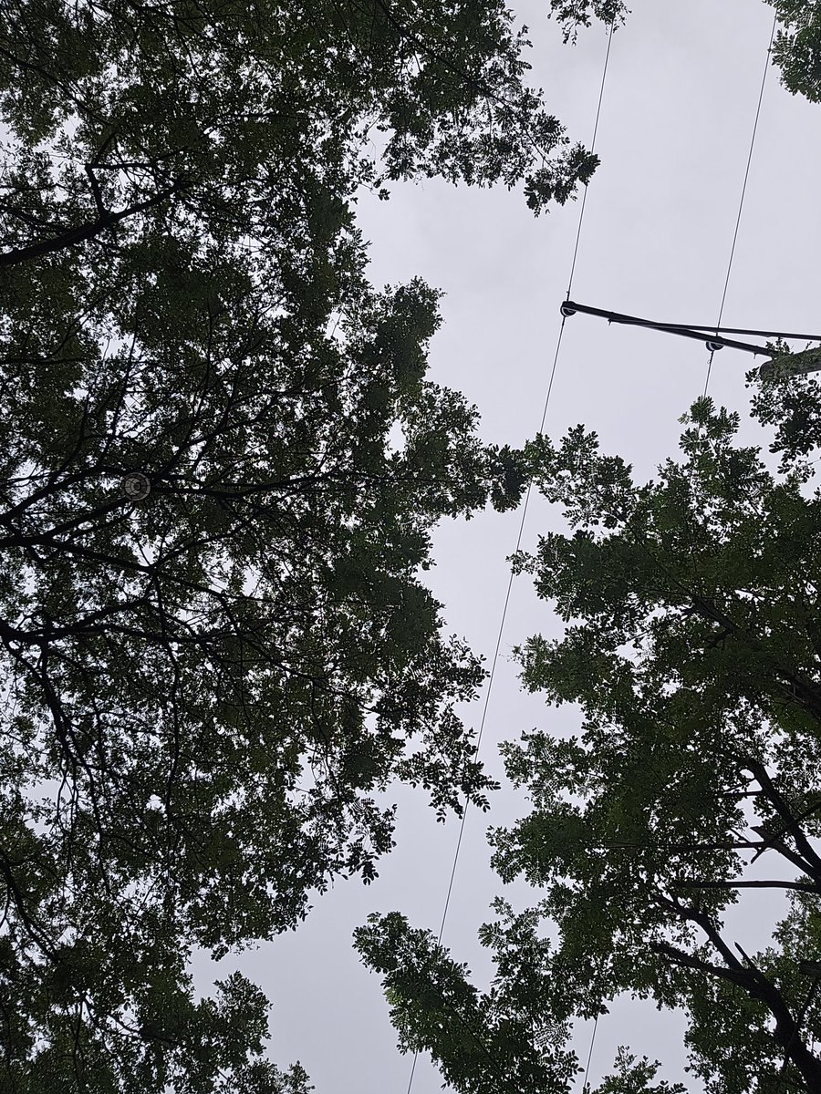 reclingad's tweet photo. 🍃 https://t.co/WqhaNzGoNE