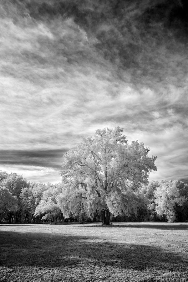 Jon Evan Glaser tweet media