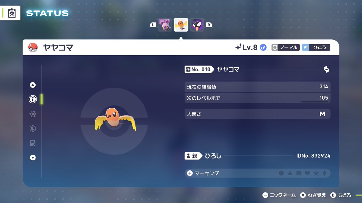 朝探したらヤヤコマ色違い出ました！！！やっとです！！！