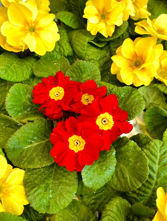 �\�[�V�����}�K�W���w�R�X���f�B�A�h�b�g�R��!!�x:�ŐV���𐏎��X�V��!!