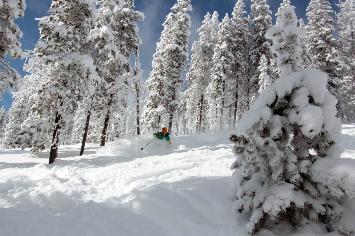 FREESKIER magazine tweet media