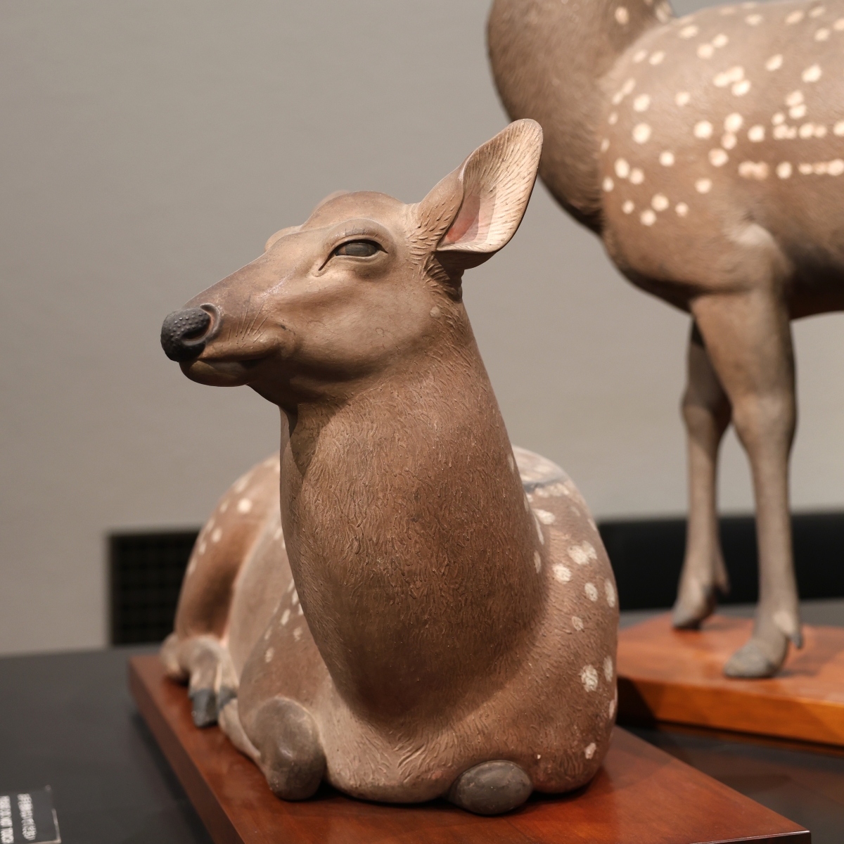 作品紹介】 #森川杜園 (もりかわとえん)によるメスとオスの #鹿 の