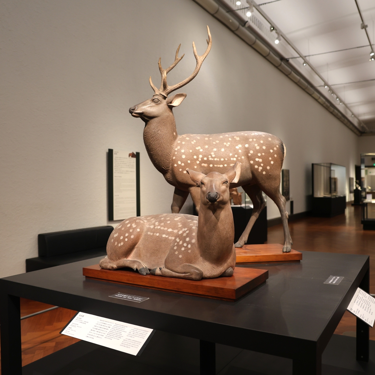 作品紹介】 #森川杜園 (もりかわとえん)によるメスとオスの #鹿 の