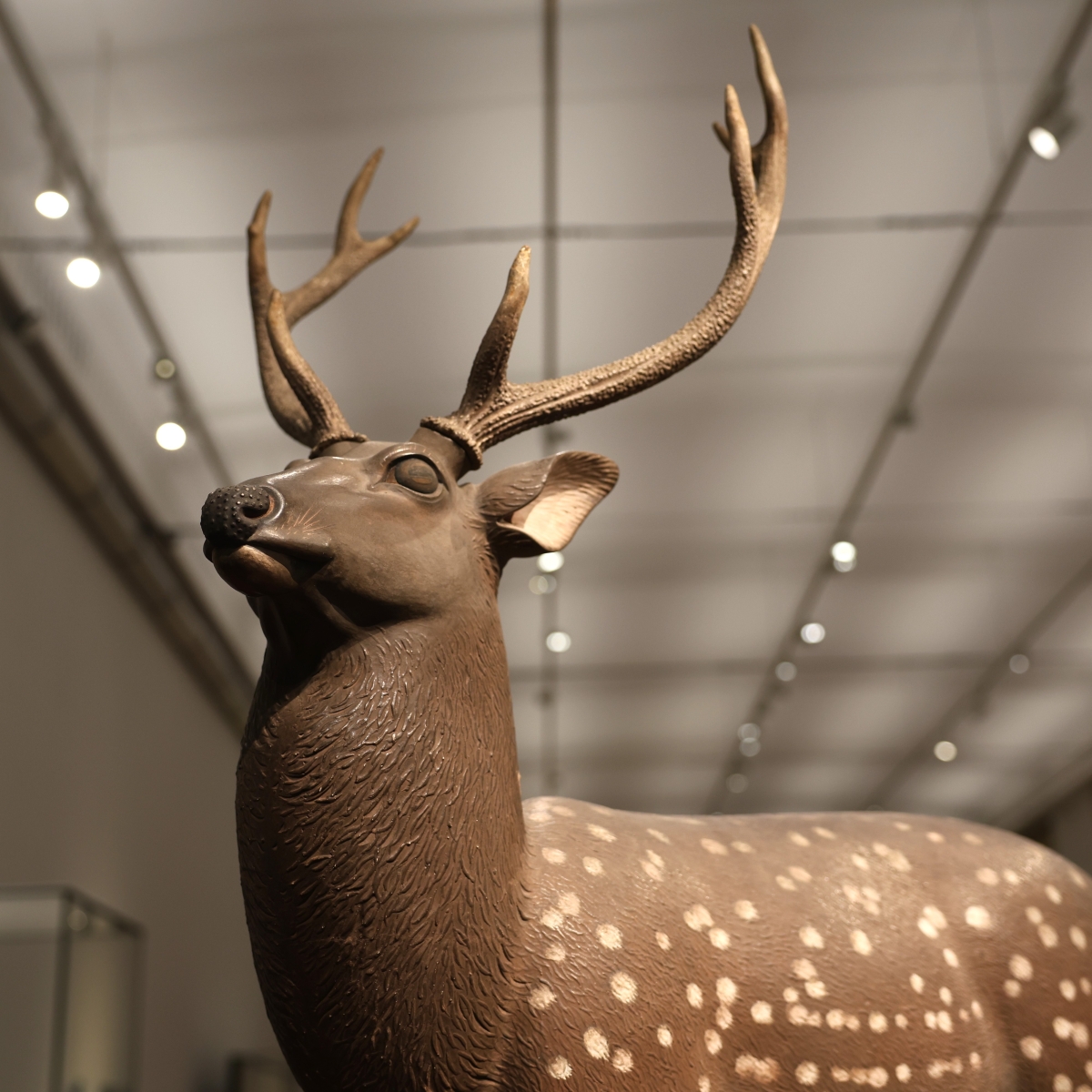 作品紹介】 #森川杜園 (もりかわとえん)によるメスとオスの #鹿 の