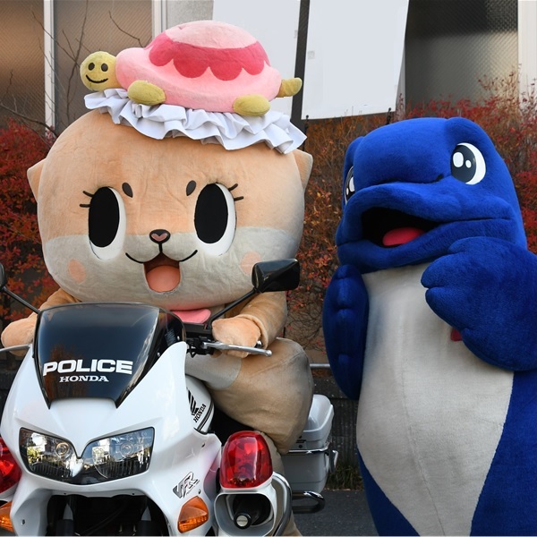 公式：ちぃたん☆広島 (@chiitanmomiji) / Posts / X