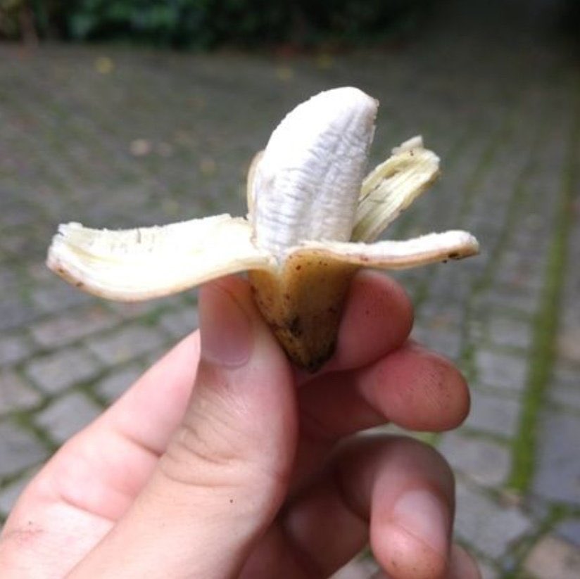 ام ريان⚜️ tweet media