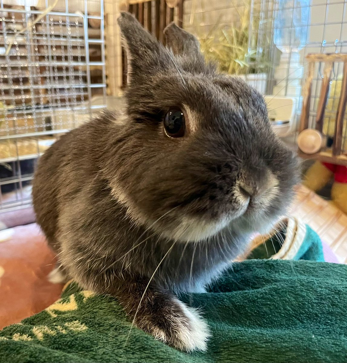 おはようございます☀