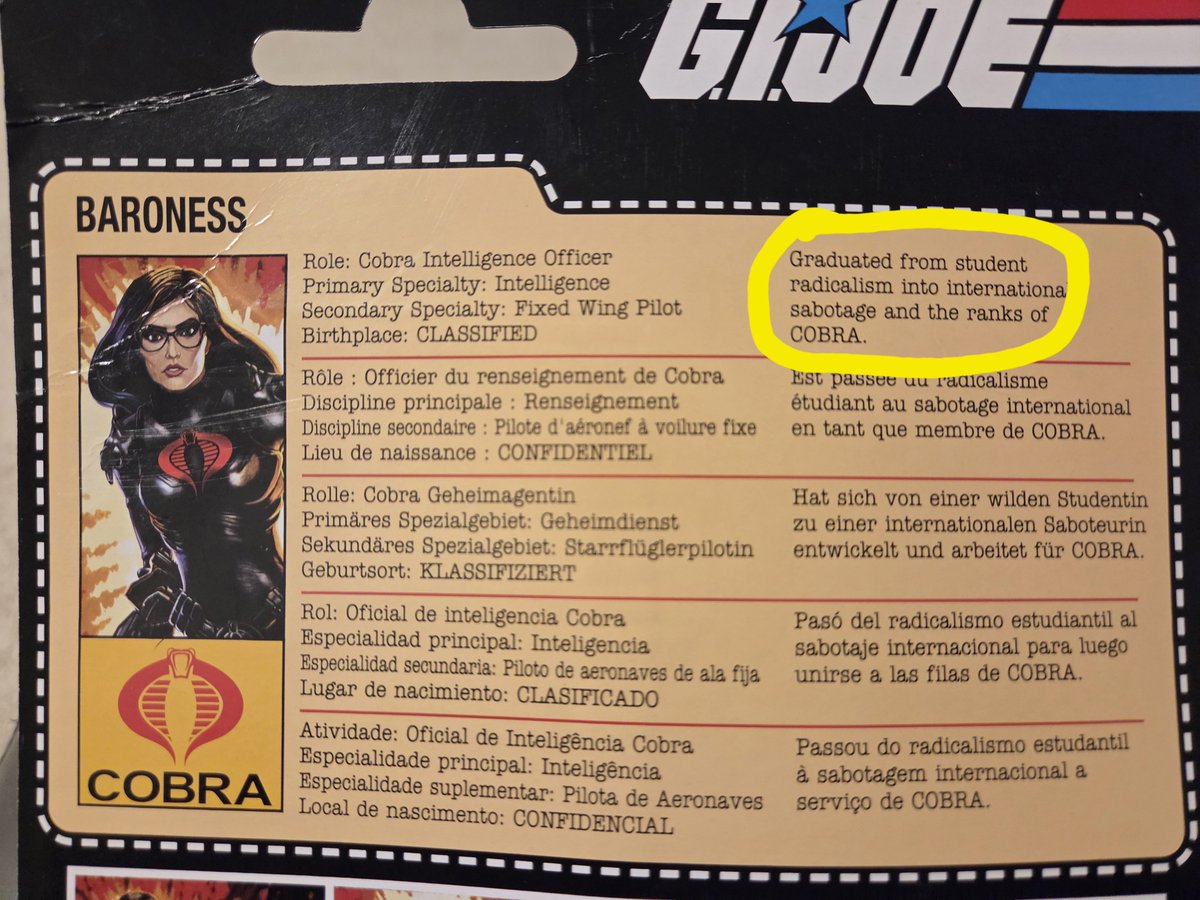 We used to know what would happen to student radicals when they graduated.