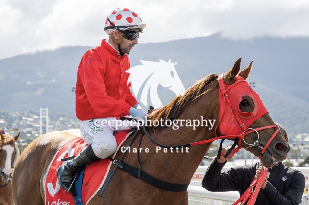SKIN IN THE GAME notched up another win for the team on Sunday at Hobart.

He is still learning his ways but is becoming a very progressive horse, notching up his 5th win from 7 starts and 2 seconds.

📸📸 thnks to ceepeephotography