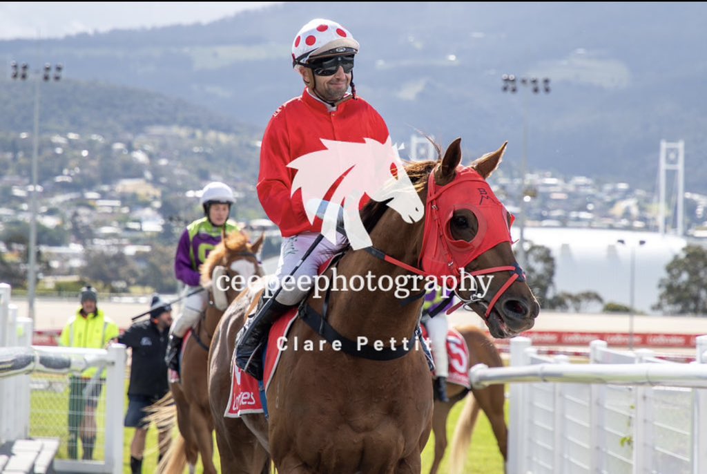 Broadmarsh_Stud's tweet photo. SKIN IN THE GAME notched up another win for the team on Sunday at Hobart.

He is still learning his ways but is becoming a very progressive horse, notching up his 5th win from 7 starts and 2 seconds.

📸📸 thnks to ceepeephotography https://t.co/Y31FbFEwuu