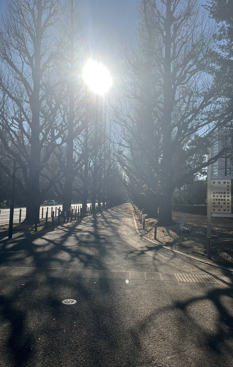 yuri7bs's tweet photo. 葉が散って、あんなに居た人々はさーっといなくなって、年末に向かって寂しいのアクセルを上げていく感じ。 https://t.co/aA8orw5eIf