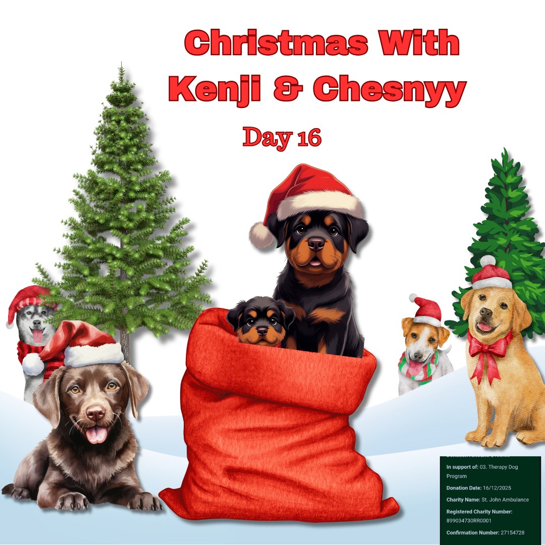 It's day 16 of the #ChristmasWithKenjiAndChesnyy #CharityAdvent Countdown! There is something incredibly healing about the touch of a dog, and today, we recognize that by giving a small gift to the St. John's Ambulance Therapy Dog Program. 

Therapy dogs are invited into places