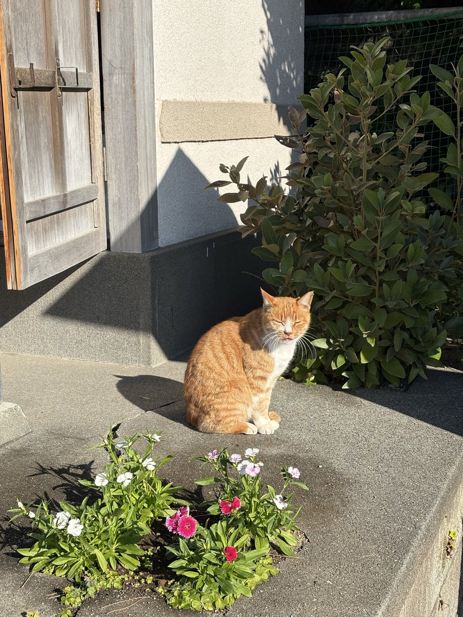 🐷ピエロ🐷 (@stars0827) / Posts / X