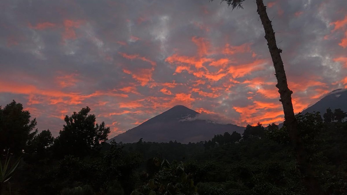 ClimaenGuate's tweet photo. El cielo se llenó de hermosas pinceladas naranja ❤️ https://t.co/UzRajBSYAQ