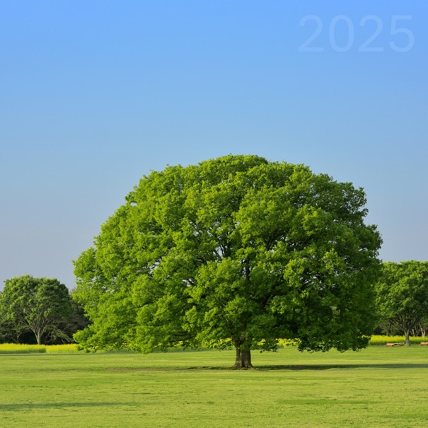 次のテストはこちら。この画像に書かれた整数をすべて答える問題 (人間でもそこそこ時間がかかると思う)。現時点では、まだどの AI モデルも正解できていない。