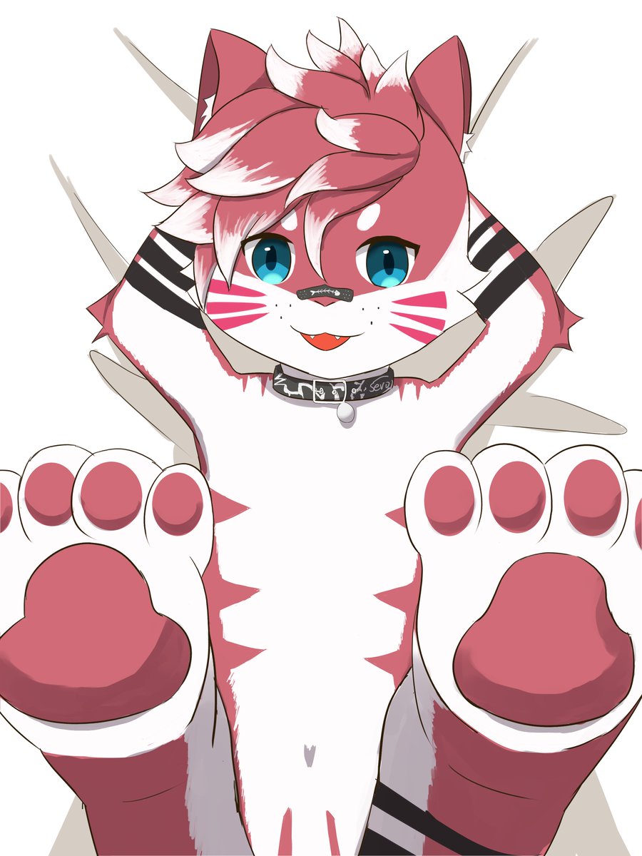 Happy Birthday to the Stinky!
Beans!!! 🐾
#Rheginyaart