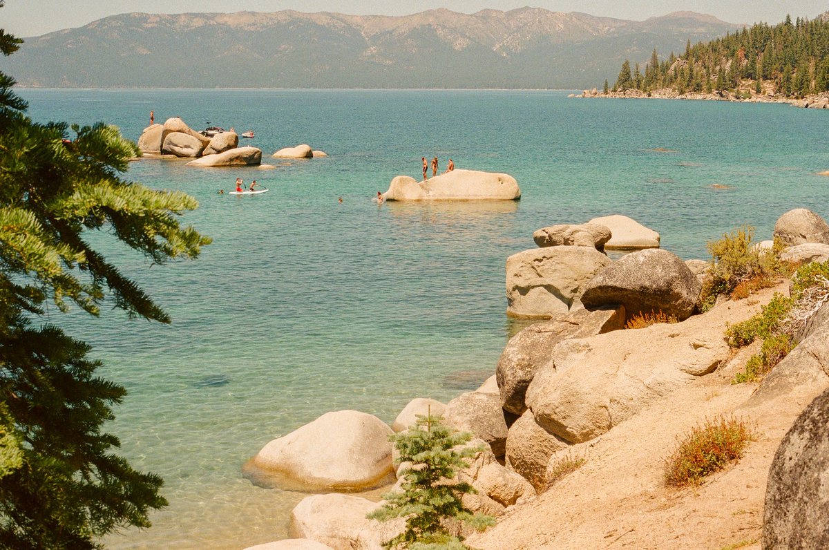 Ryan Warner tweet media