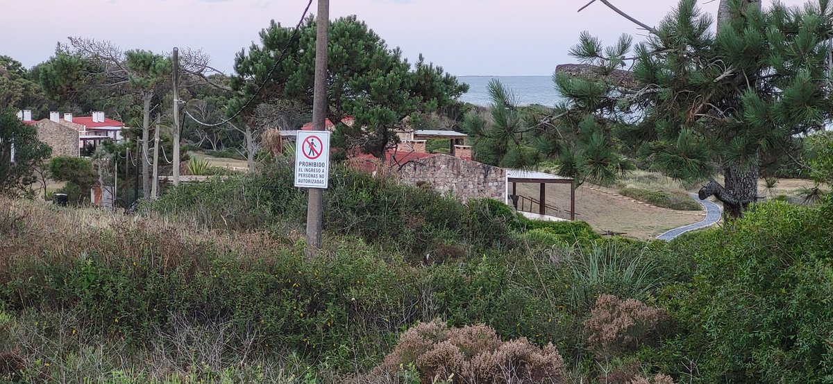 Adrián Manera tweet media