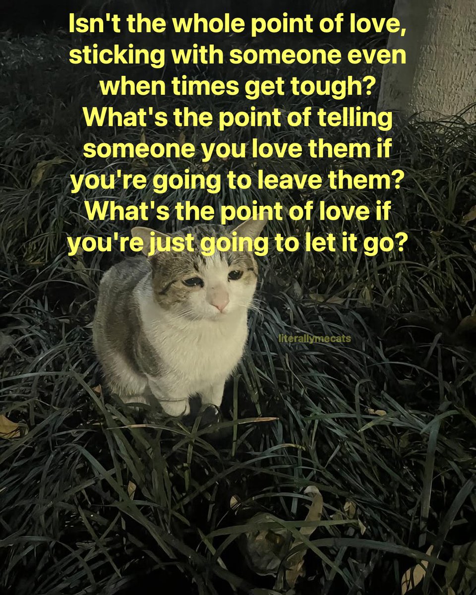 literallymecats's tweet photo. https://t.co/9UAH9gAizm