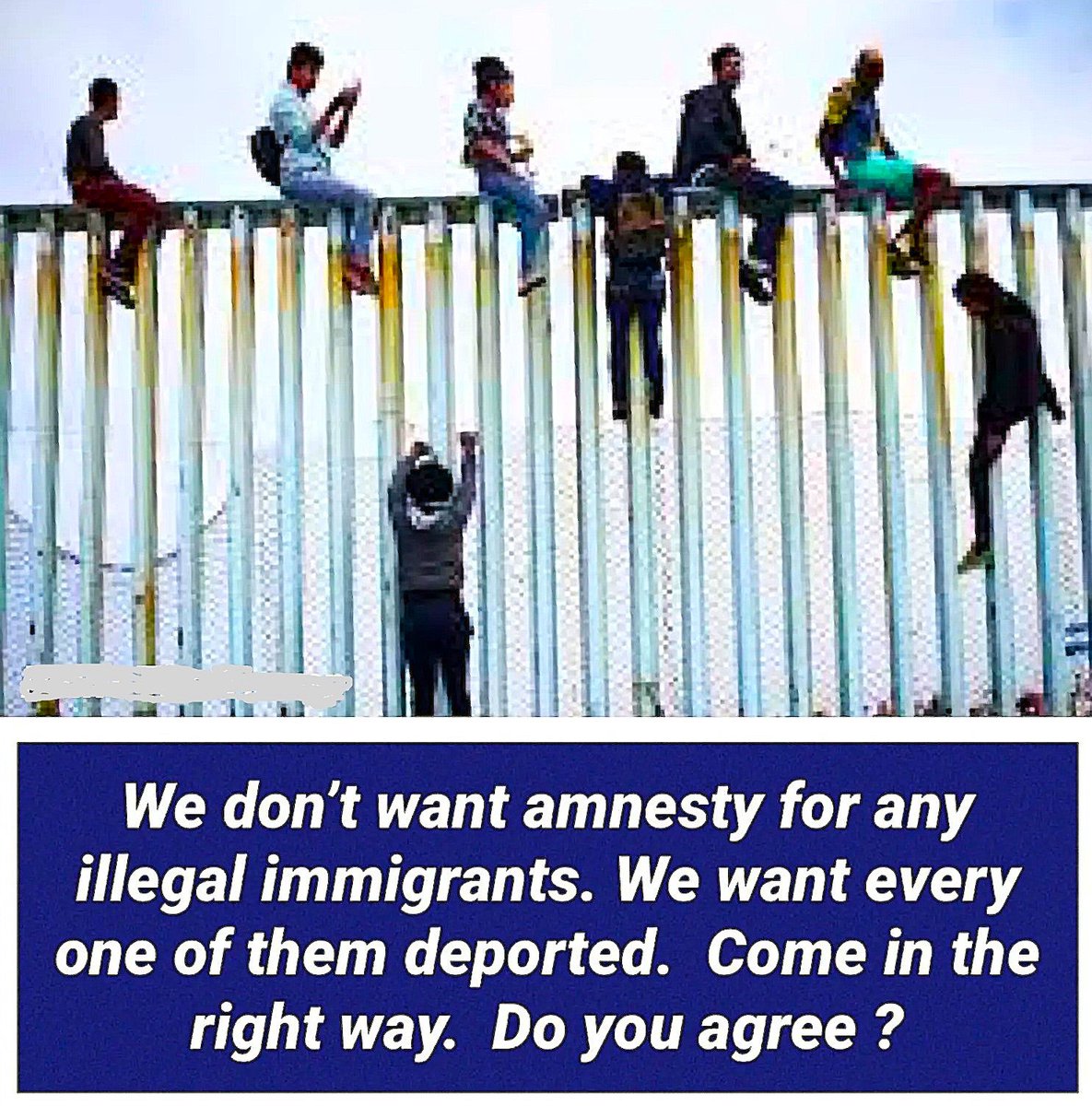 SandraXFreedom's tweet image. No amnesty for any illegal immigrants💥