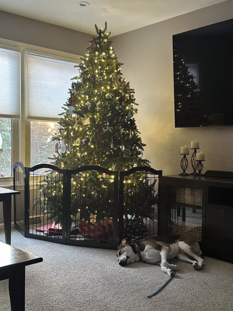 Brian Dykhouse (@embdflight) on Twitter photo 