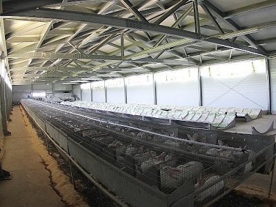 Martin Gould tweet media